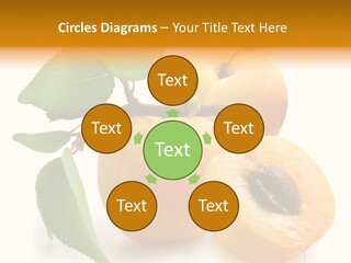 Group White Apricot PowerPoint Template
