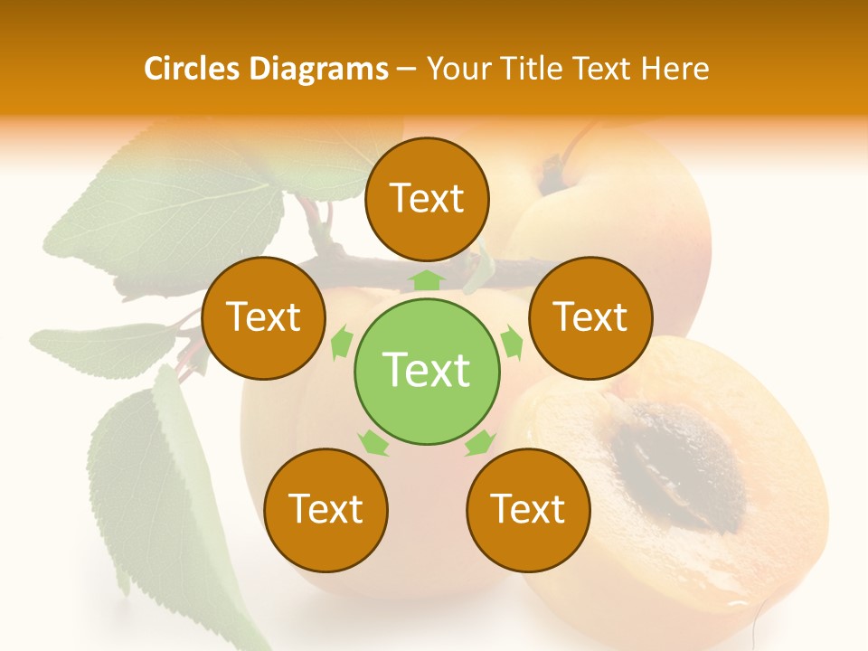 Group White Apricot PowerPoint Template