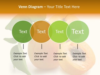 Group White Apricot PowerPoint Template