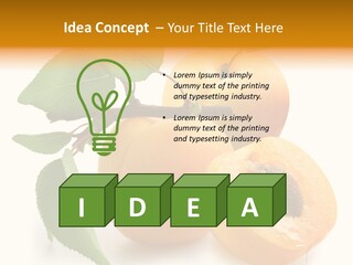 Group White Apricot PowerPoint Template