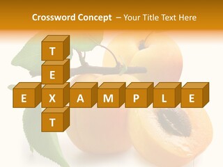Group White Apricot PowerPoint Template