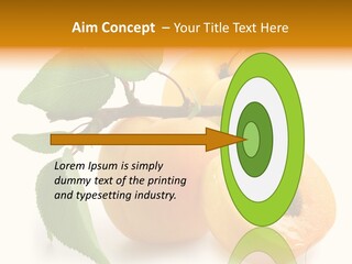 Group White Apricot PowerPoint Template