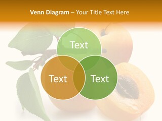 Group White Apricot PowerPoint Template