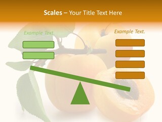 Group White Apricot PowerPoint Template