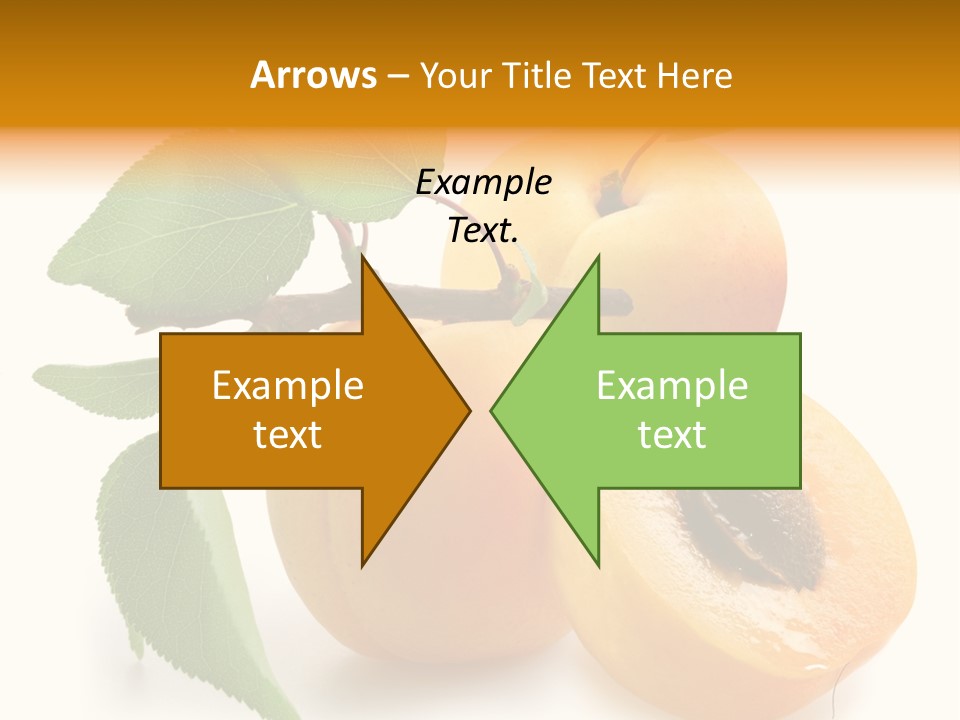 Group White Apricot PowerPoint Template