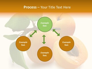 Group White Apricot PowerPoint Template