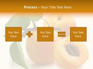 Group White Apricot PowerPoint Template