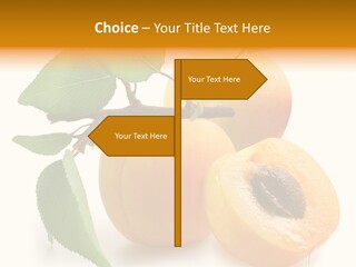 Group White Apricot PowerPoint Template