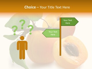 Group White Apricot PowerPoint Template