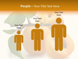 Group White Apricot PowerPoint Template