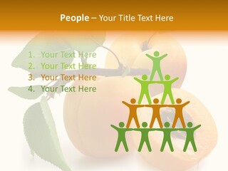 Group White Apricot PowerPoint Template