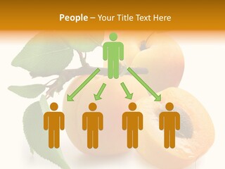 Group White Apricot PowerPoint Template