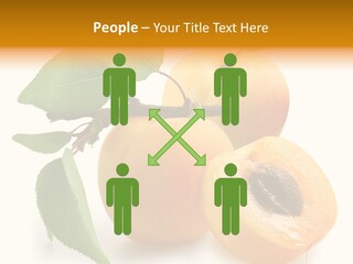 Group White Apricot PowerPoint Template
