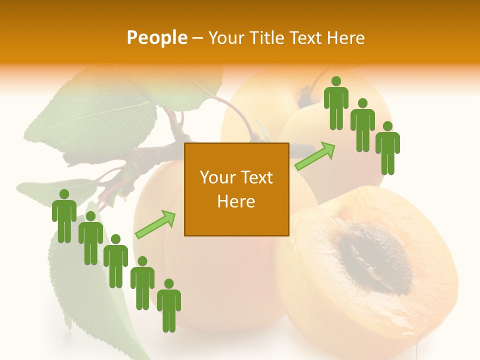 Group White Apricot PowerPoint Template