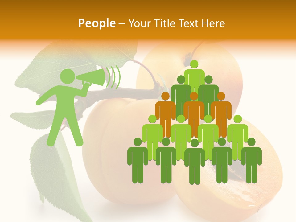Group White Apricot PowerPoint Template