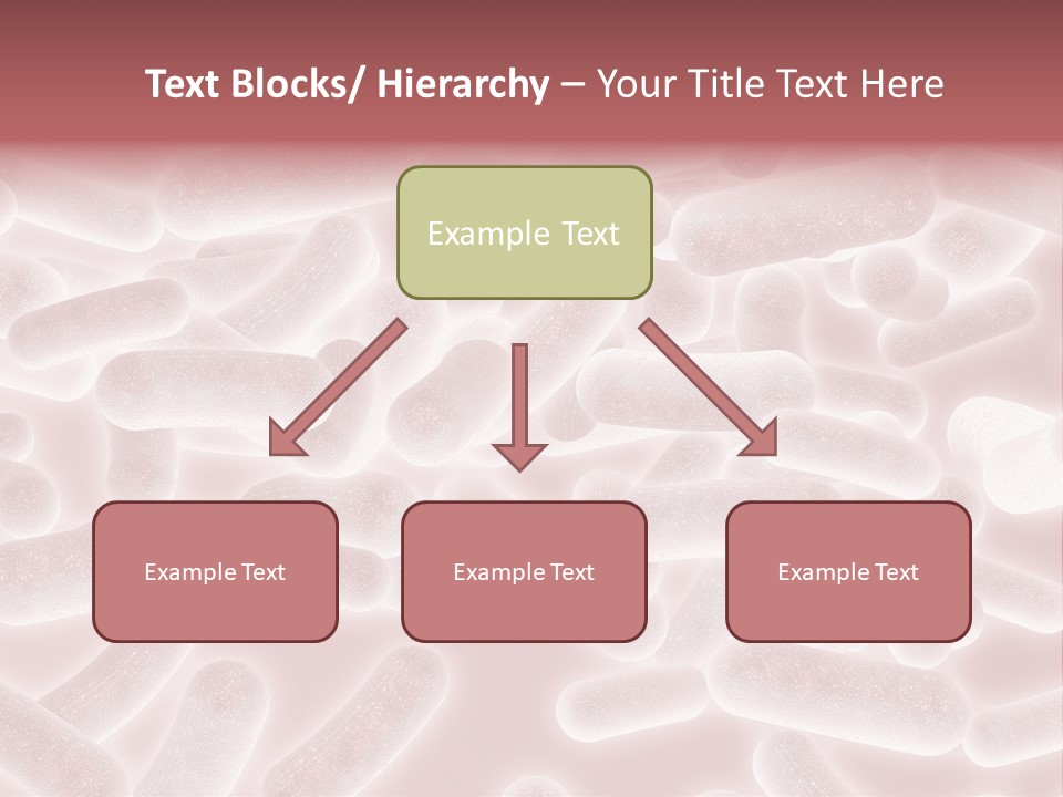 Macro Design Illustration PowerPoint Template