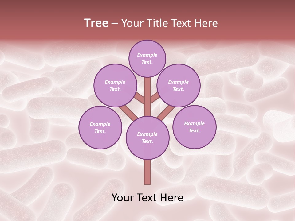 Macro Design Illustration PowerPoint Template