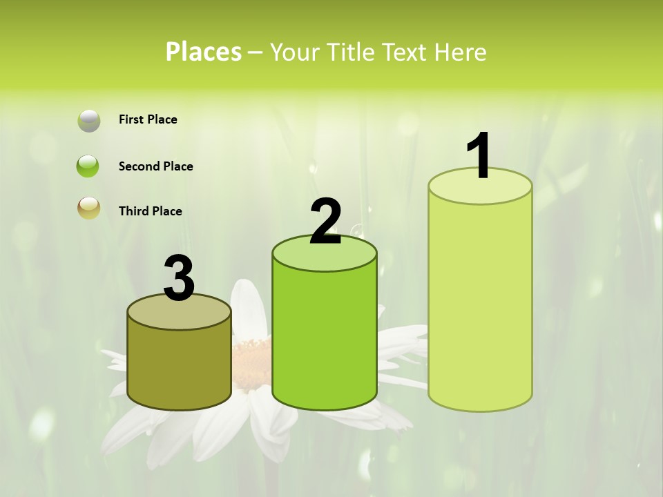 Close Up Daisy Herb PowerPoint Template