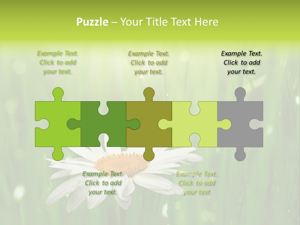 Close Up Daisy Herb PowerPoint Template