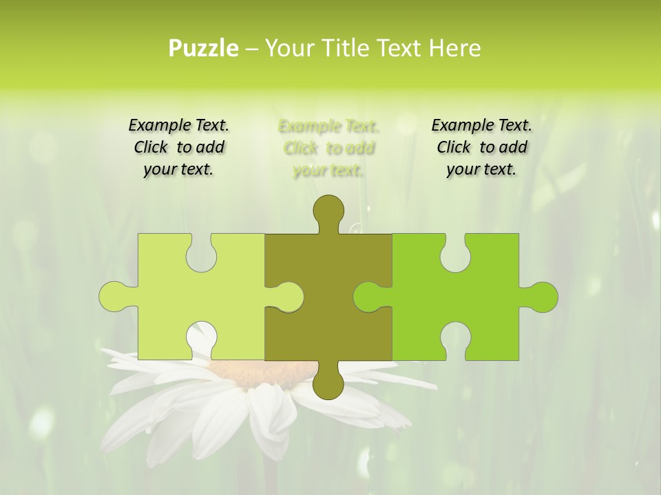 Close Up Daisy Herb PowerPoint Template