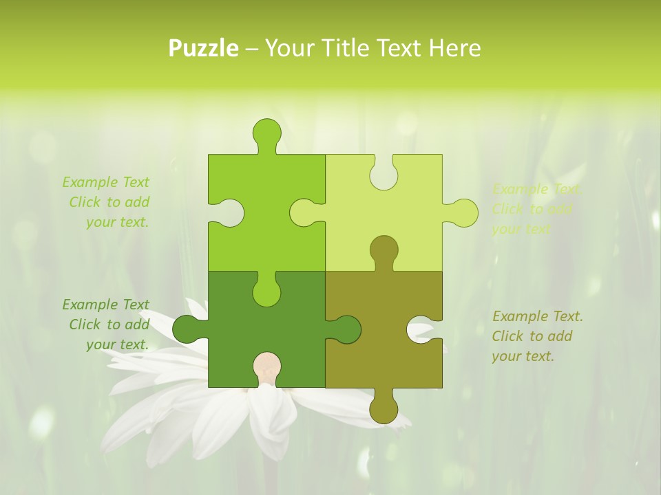 Close Up Daisy Herb PowerPoint Template