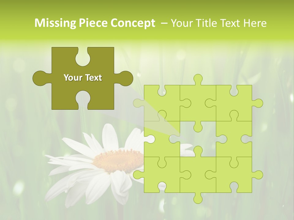 Close Up Daisy Herb PowerPoint Template