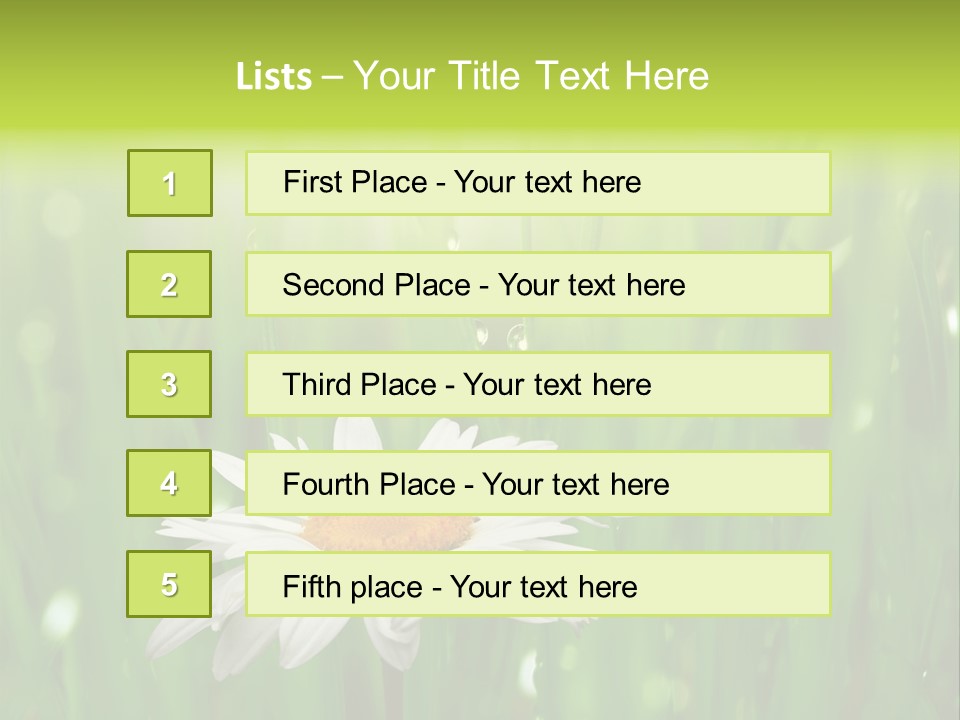 Close Up Daisy Herb PowerPoint Template