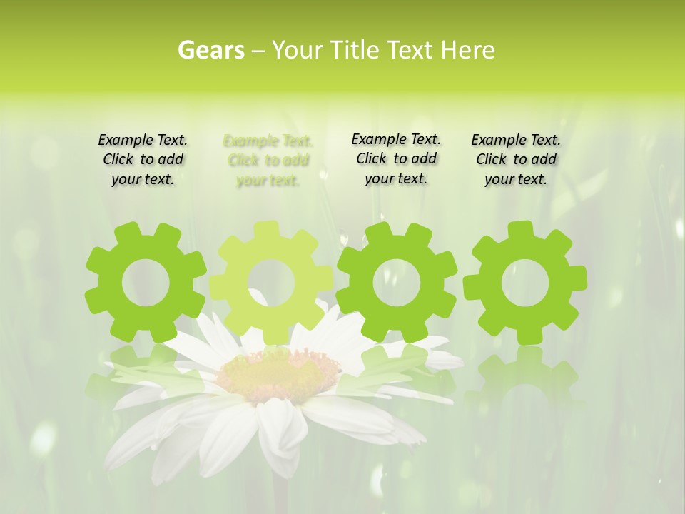 Close Up Daisy Herb PowerPoint Template