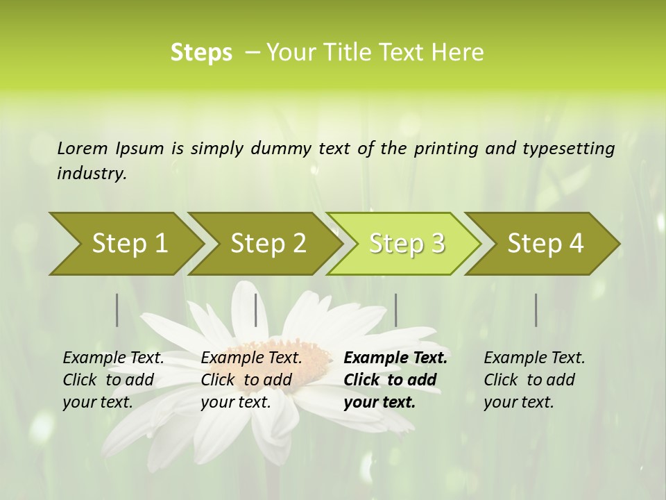 Close Up Daisy Herb PowerPoint Template