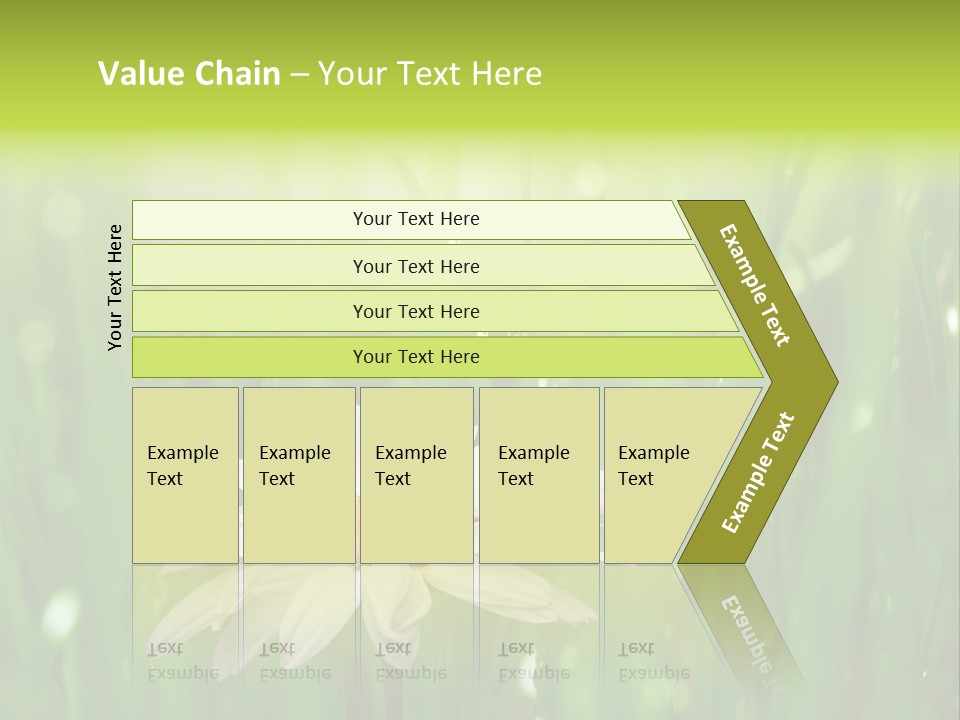 Close Up Daisy Herb PowerPoint Template