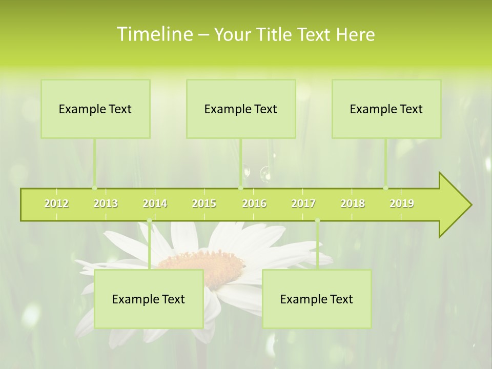 Close Up Daisy Herb PowerPoint Template