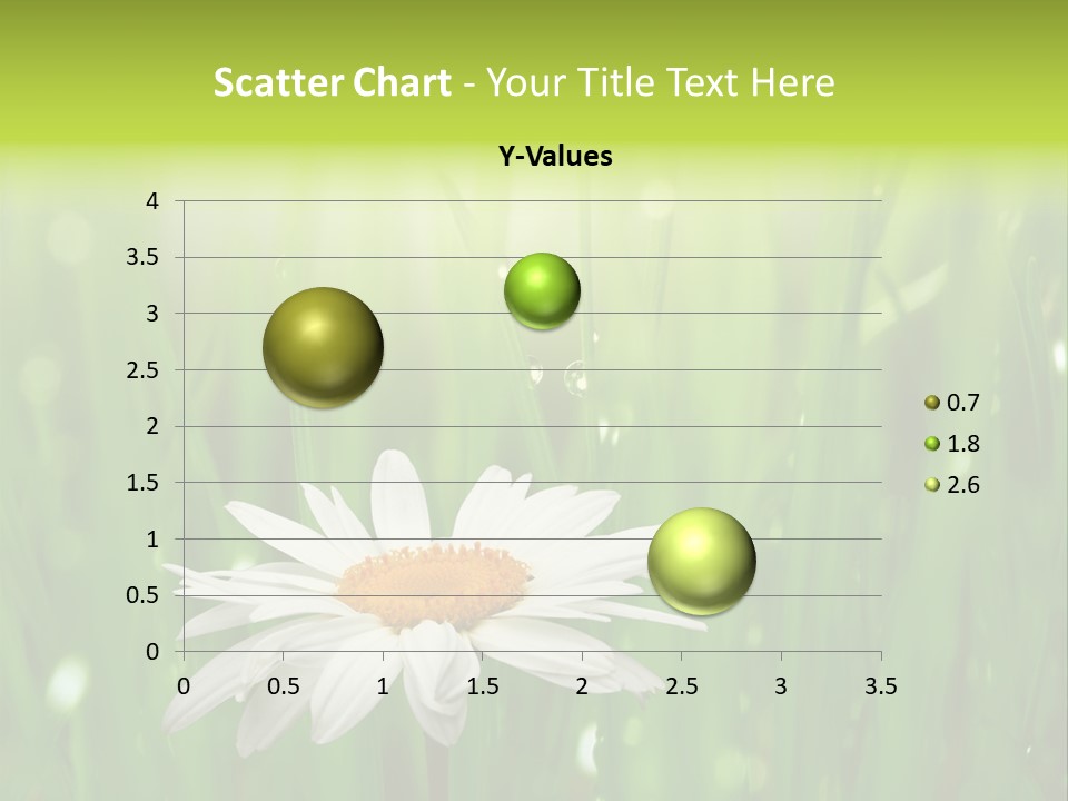 Close Up Daisy Herb PowerPoint Template