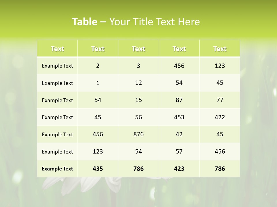 Close Up Daisy Herb PowerPoint Template