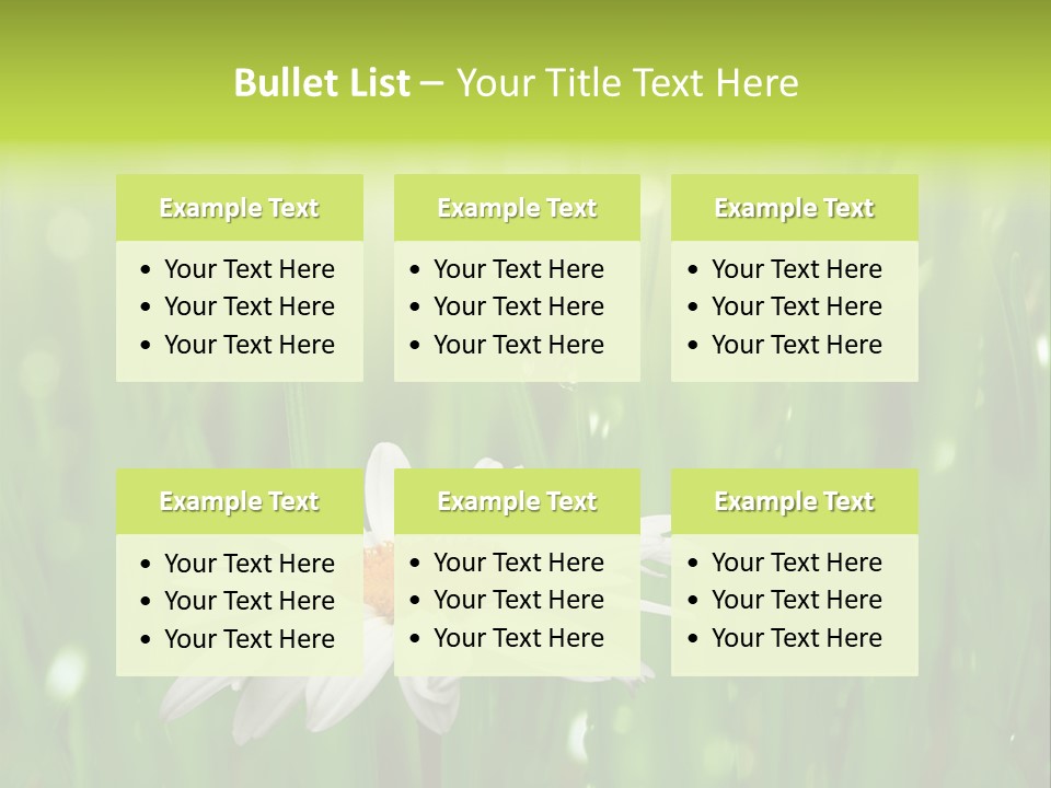 Close Up Daisy Herb PowerPoint Template