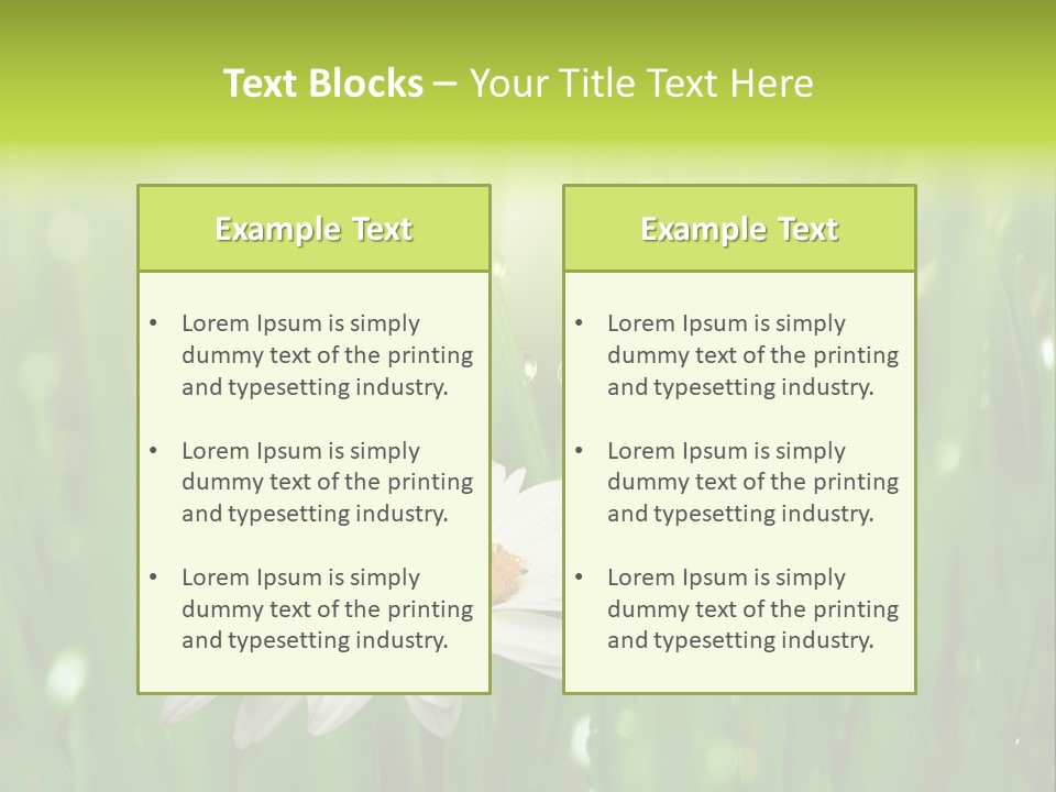Close Up Daisy Herb PowerPoint Template