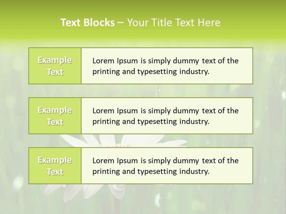 Close Up Daisy Herb PowerPoint Template