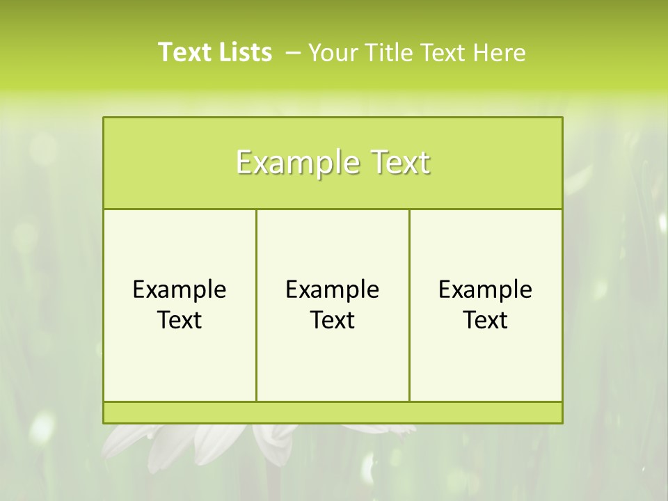 Close Up Daisy Herb PowerPoint Template