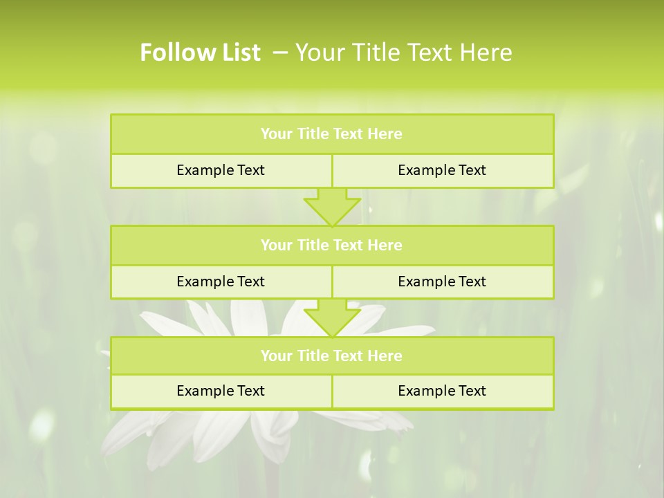 Close Up Daisy Herb PowerPoint Template