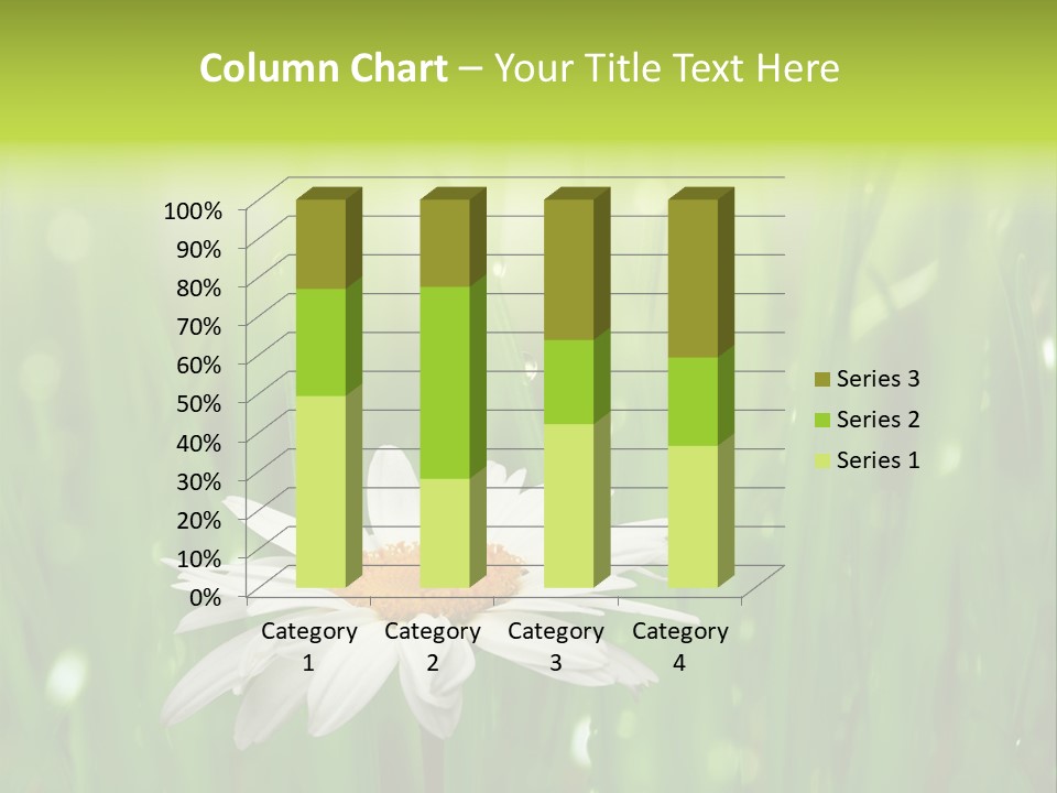 Close Up Daisy Herb PowerPoint Template