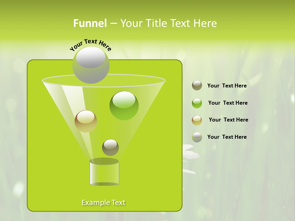 Close Up Daisy Herb PowerPoint Template