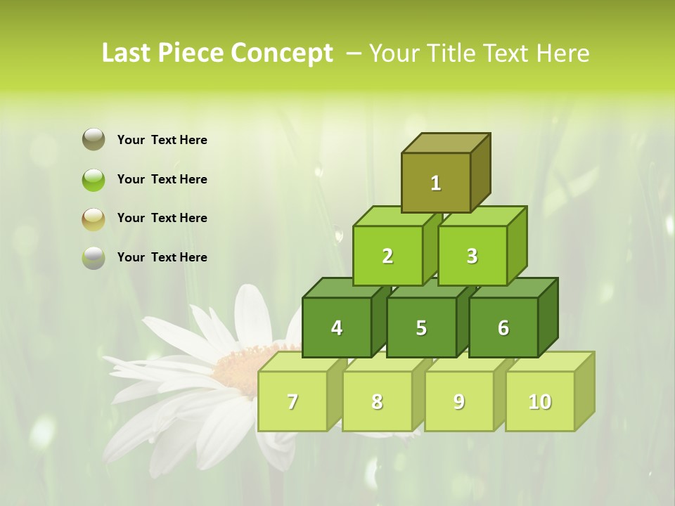 Close Up Daisy Herb PowerPoint Template
