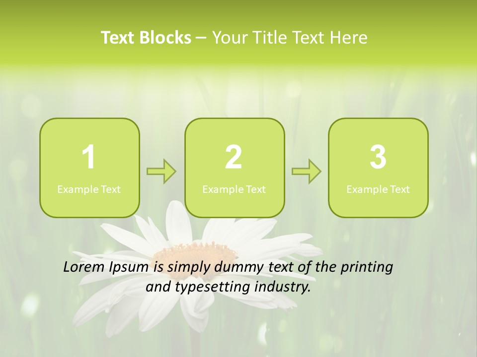 Close Up Daisy Herb PowerPoint Template