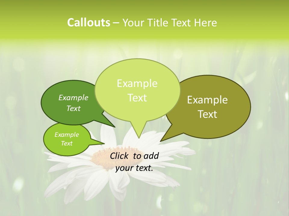 Close Up Daisy Herb PowerPoint Template