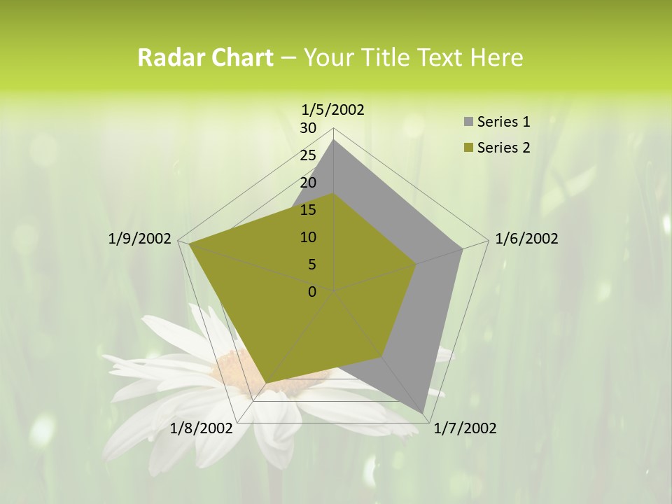 Close Up Daisy Herb PowerPoint Template