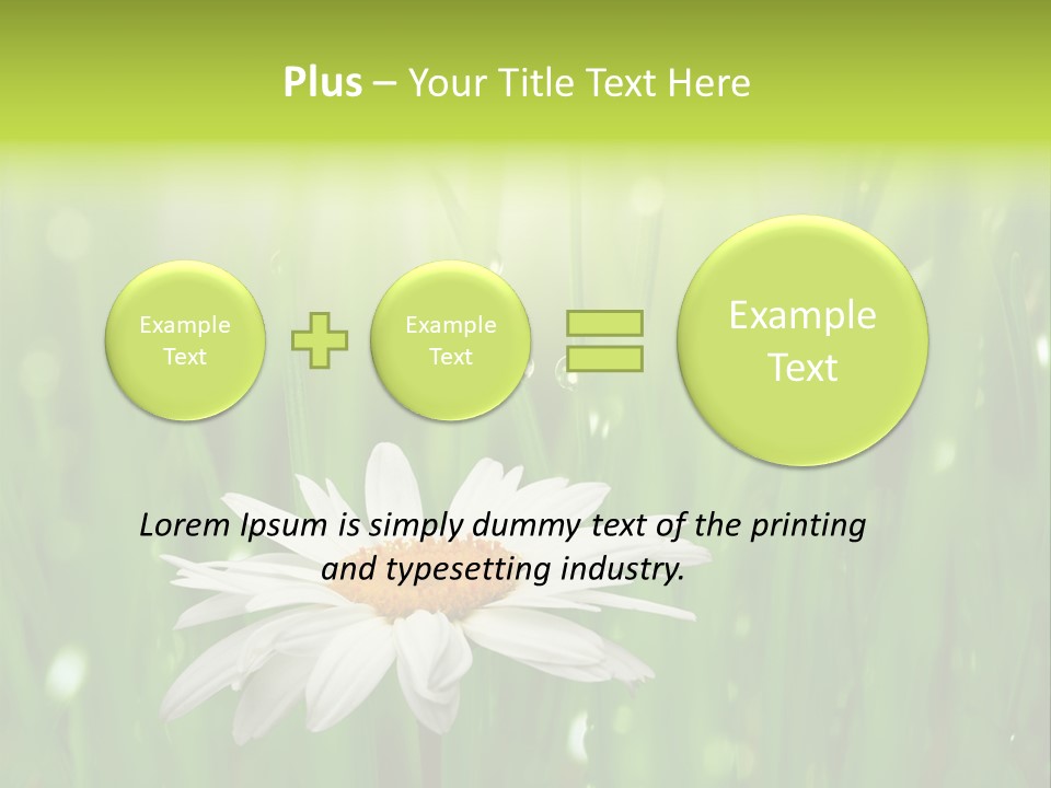 Close Up Daisy Herb PowerPoint Template