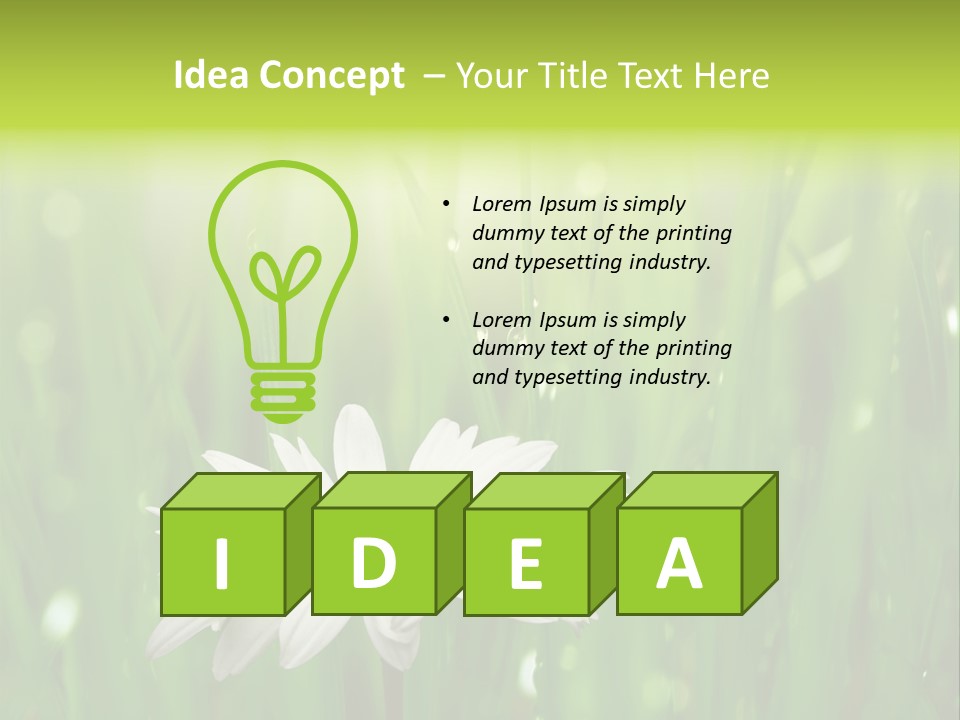 Close Up Daisy Herb PowerPoint Template