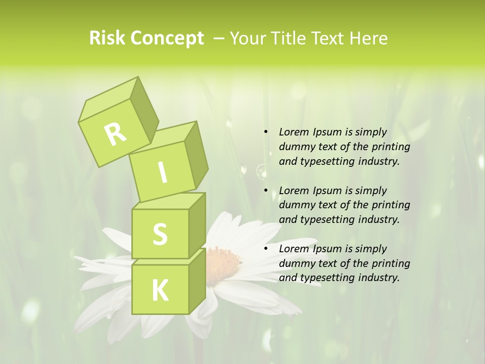 Close Up Daisy Herb PowerPoint Template