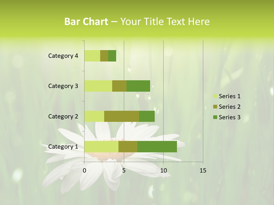 Close Up Daisy Herb PowerPoint Template