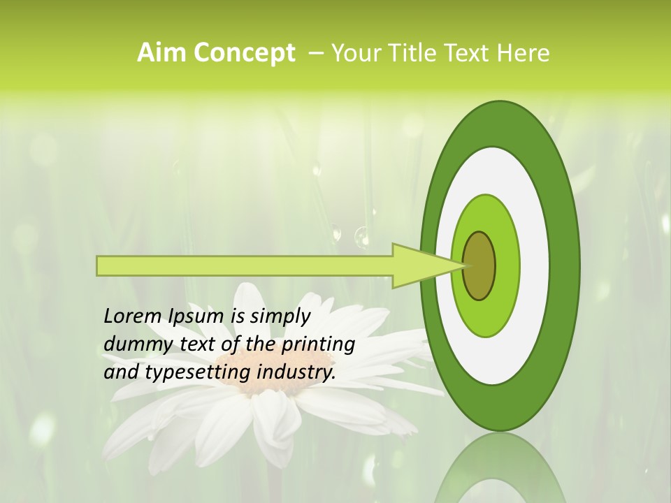 Close Up Daisy Herb PowerPoint Template