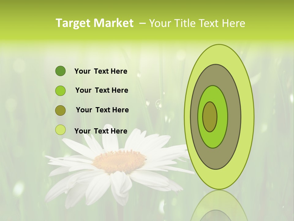 Close Up Daisy Herb PowerPoint Template